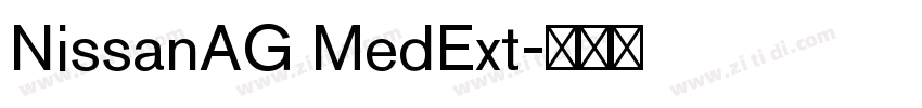 NissanAG MedExt字体转换